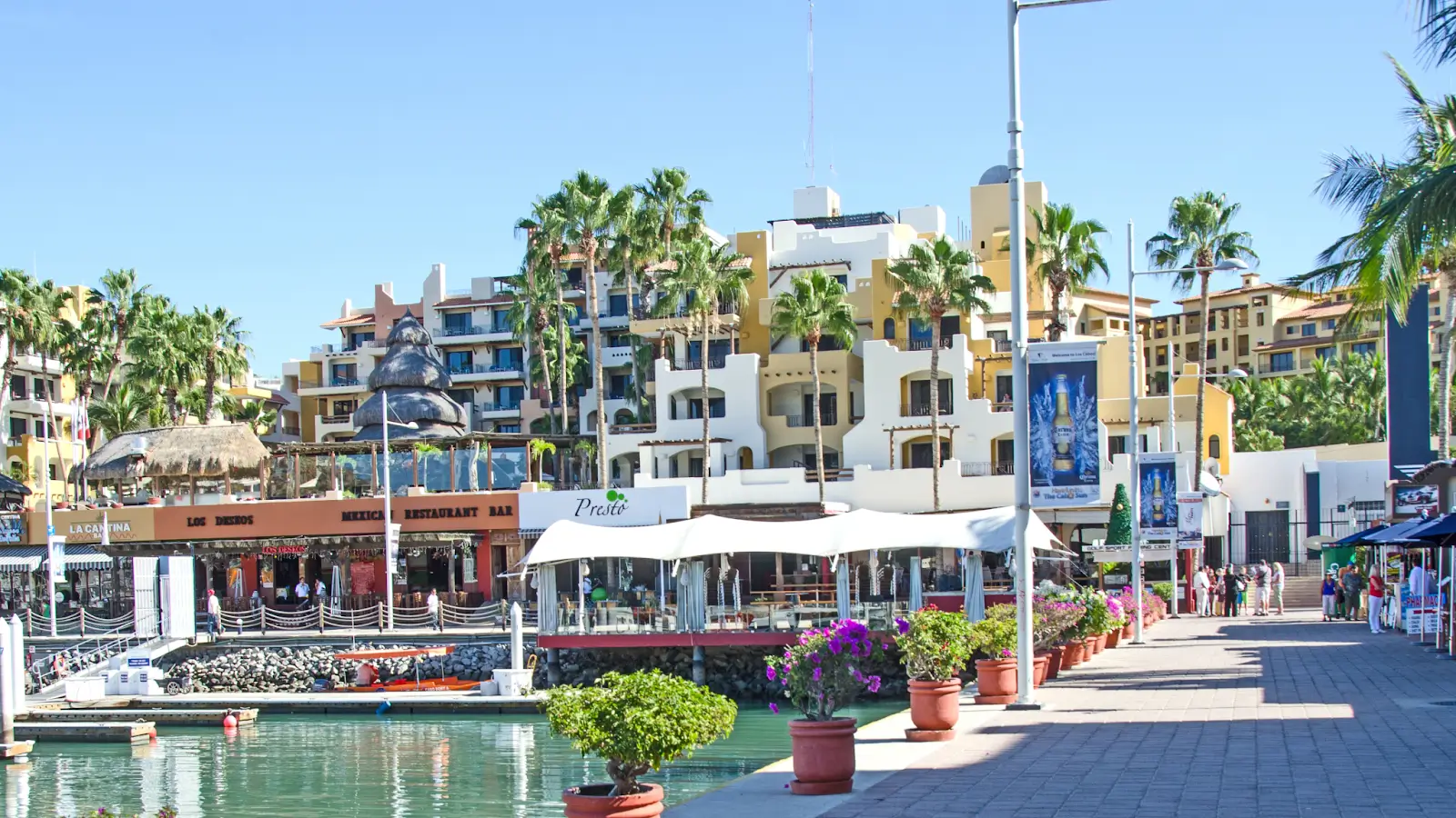 Custom Luxury Homes in Cabo San Lucas